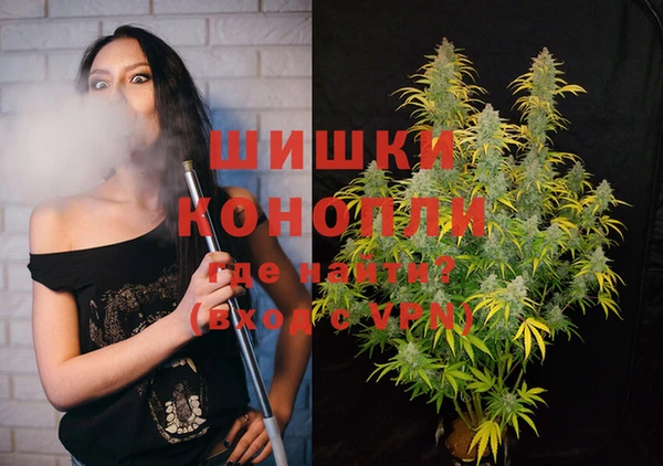 шишки Арсеньев