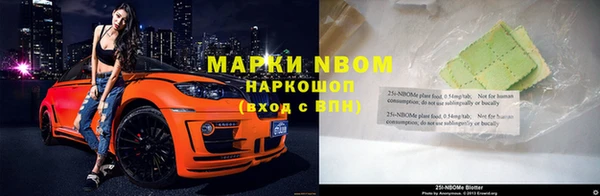шишки Арсеньев