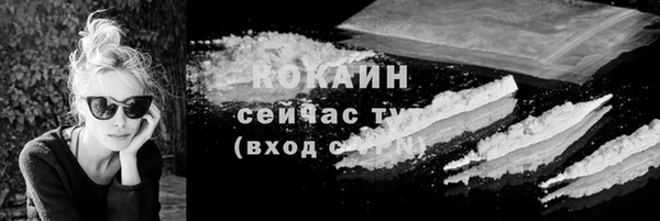 шишки Арсеньев