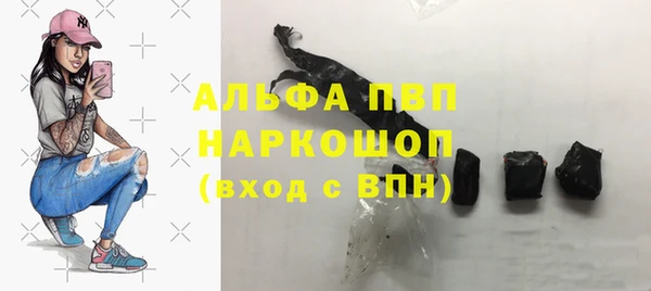 эйфоретик Аркадак