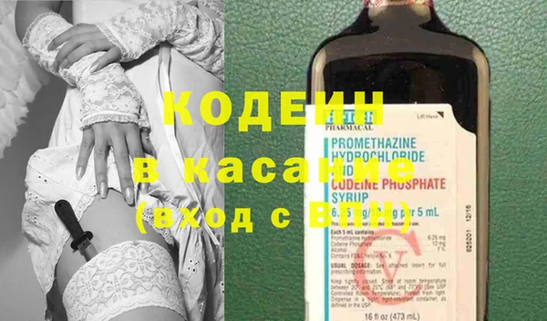 шишки Арсеньев