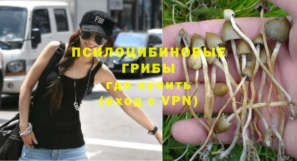эйфоретик Аркадак