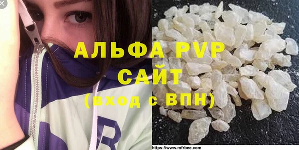 шишки Арсеньев