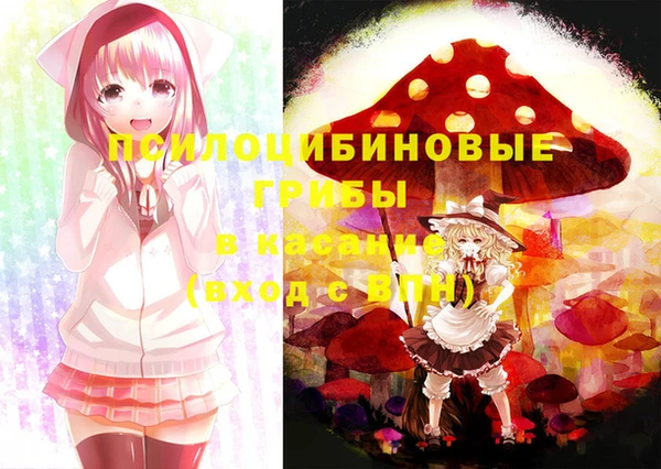 шишки Арсеньев