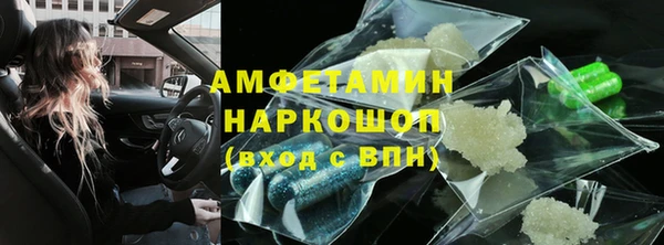 шишки Арсеньев