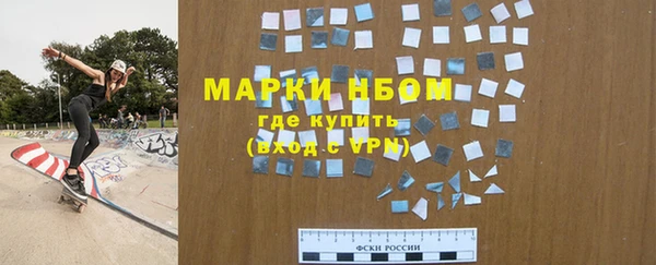шишки Арсеньев